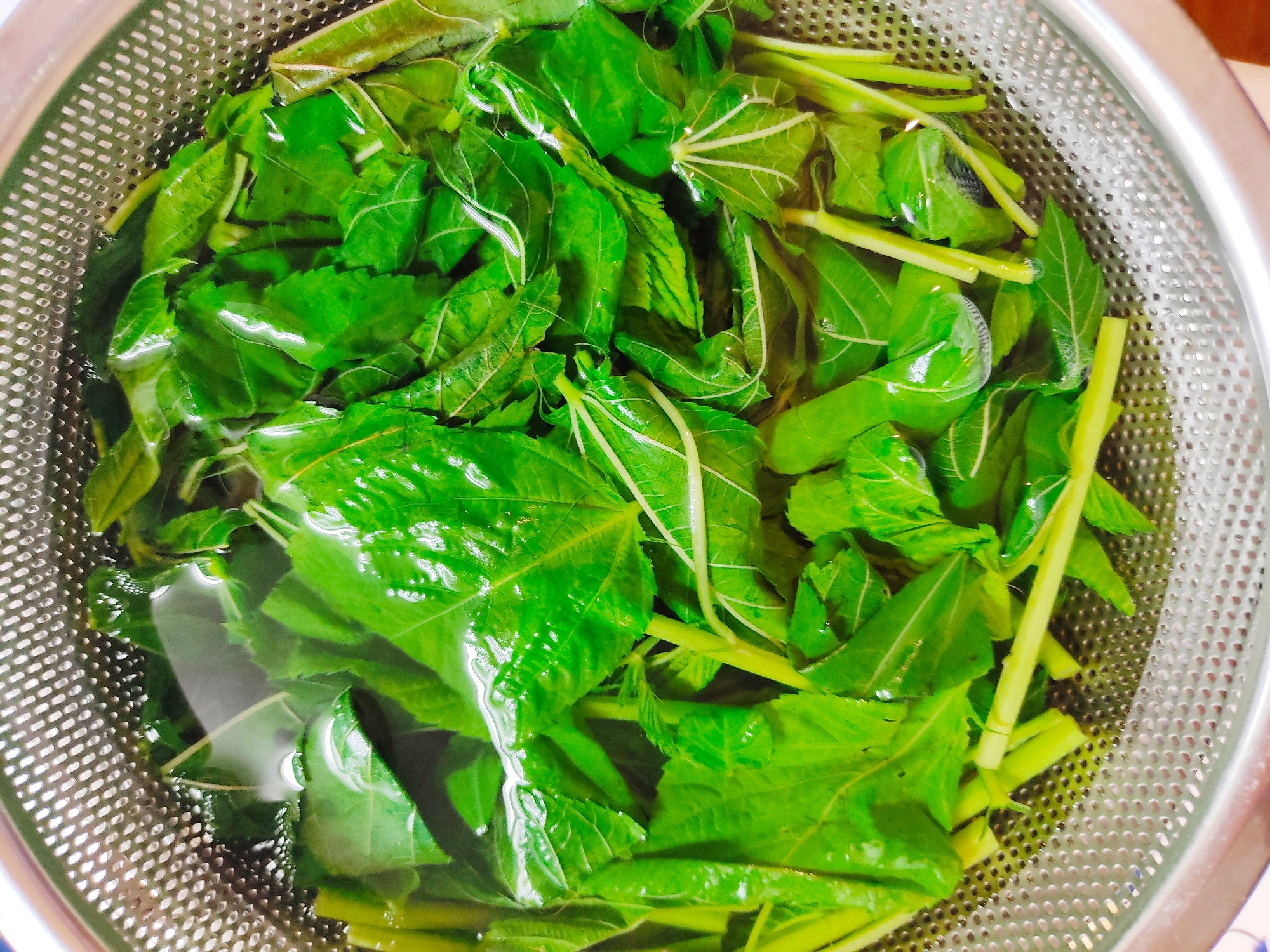 1分で簡単 モロヘイヤの茹で方 レシピ 作り方 By Makicchi 楽天レシピ 1分で簡単 モロヘイヤの茹で方 レシピ 作り方 By Makicchi 楽天レシピ