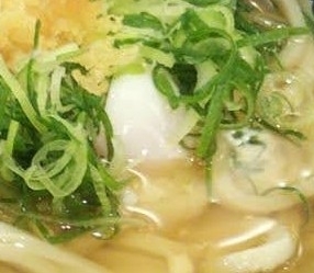 ねぎうどん