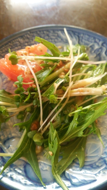水菜とブロッコリースプラウトの白ごまサラダ