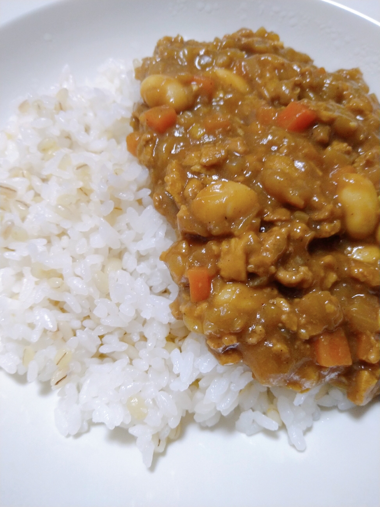 大豆と高野豆腐のキーマカレー