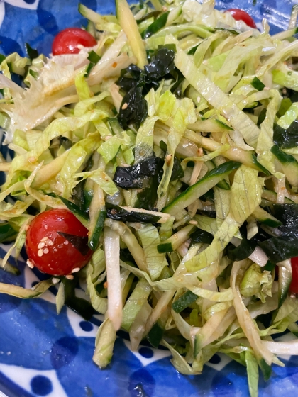レタス、きゅうり、わかめ、トマトで作りました！
おいしかったです♪