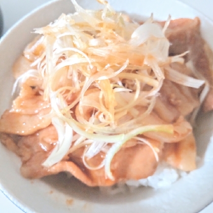 帯広名物もどき？～でも美味しい！豚丼