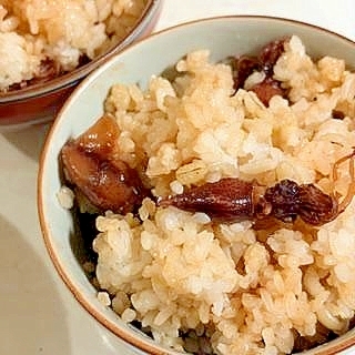 春のご飯　☆　ホタルイカの混ぜご飯