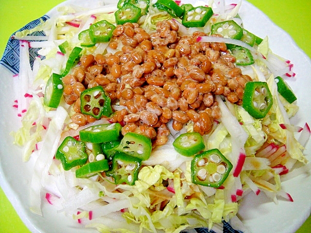 白菜と納豆のサラダ