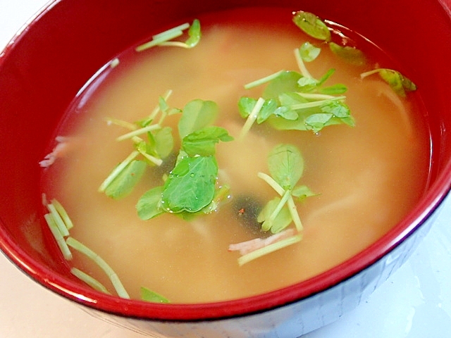 貝だしで　シーサラダと豆苗と黒豆のお味噌汁♬