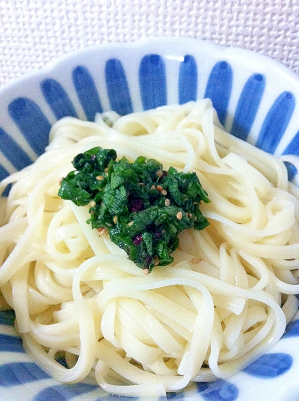 自家製大葉♪収穫直後からの薬味