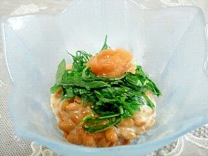 梅しそ塩麹なっとう レシピ 作り方 By カナシュンばーば 楽天レシピ 梅しそ塩麹なっとう レシピ 作り方 By カナシュンばーば 楽天レシピ