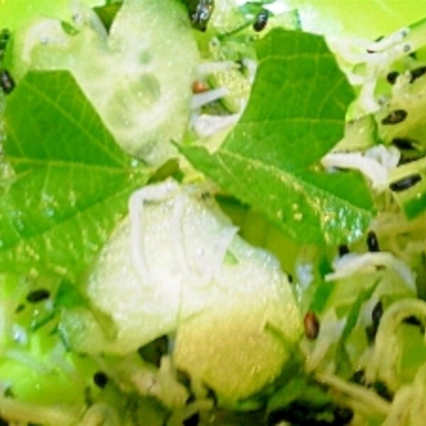 手作りカルシウムふりかけ レシピ 作り方 By 白1259 楽天レシピ 手作りカルシウムふりかけ レシピ 作り方 By 白1259 楽天レシピ