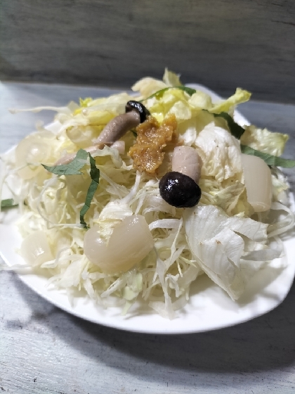 らっきょう金山寺味噌シメジえごまレタスもやしサラダ