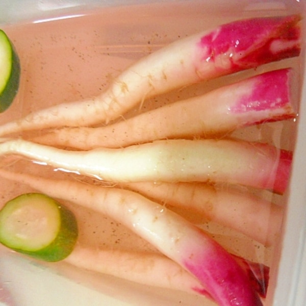 赤ちゃん紫大根のピクルス 皮ごと食べよう レシピ 作り方 By ミスチバス 楽天レシピ 赤ちゃん紫大根のピクルス 皮ごと食べよう レシピ 作り方 By ミスチバス 楽天レシピ