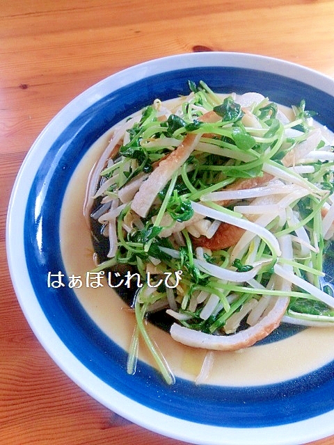 豆苗ともやしのオイスター炒め✿