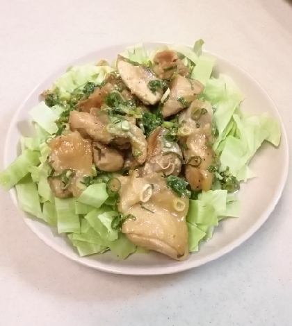 キャベツで上げ底(笑)マヨポン味で、お肉もキャベツも美味しくいただきました。