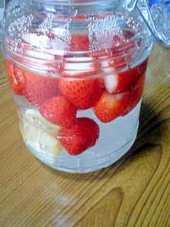 イチゴの季節！ベリー果実酒