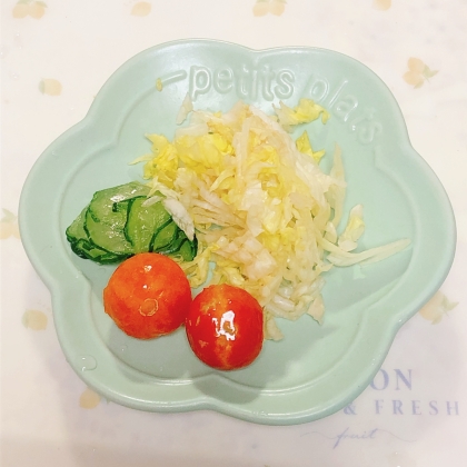 キャベツ・きゅうり・トマトのサラダ