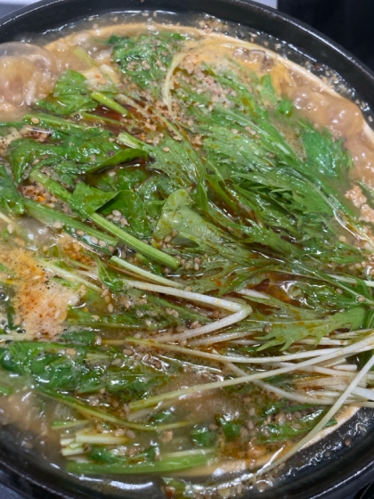 甜麺醤が無かったのでコチュジャンで作りましたが、コクのあるスープでとても美味しかったです。