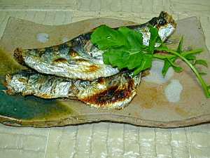 今 旬の生鰊 シンプルだが塩焼きが最高です レシピ 作り方 By ぽったーぶー楽天 楽天レシピ 今 旬の生鰊 シンプルだが塩焼きが最高です レシピ 作り方 By ぽったーぶー楽天 楽天レシピ