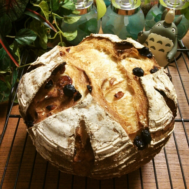 自家製酵母元種で お洒落に フルーツカンパーニュ レシピ 作り方 By Maru San 楽天レシピ 自家製酵母元種で お洒落に フルーツカンパーニュ レシピ 作り方 By Maru San 楽天レシピ