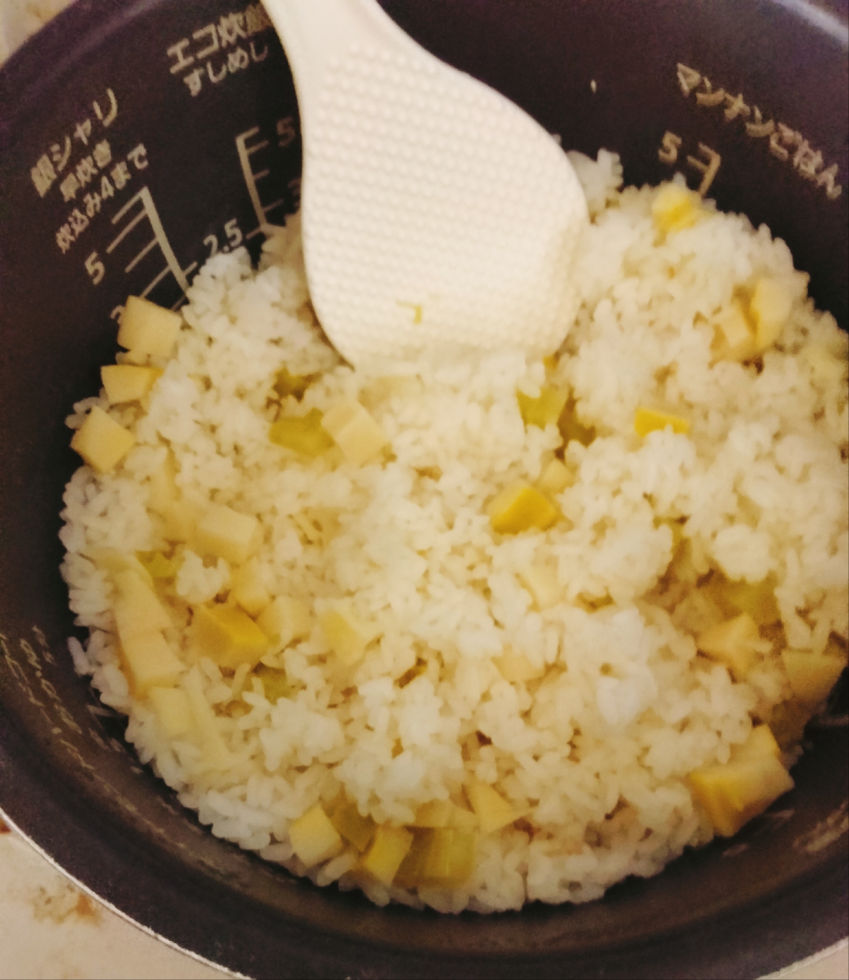 筍とブロッコリーの芯の炊き込みご飯