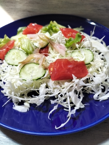 みょうがの甘酢漬けでサラダ