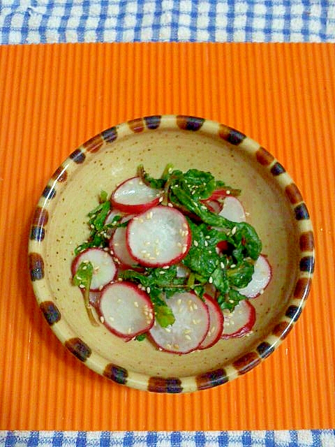 ラディッシュの浅漬けサラダ レシピ 作り方 By テツオ63 楽天レシピ ラディッシュの浅漬けサラダ レシピ 作り方 By テツオ63 楽天レシピ