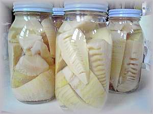 たけのこ長期保存の瓶詰 レシピ 作り方 By シオン 楽天レシピ