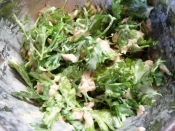 簡単 イタリアンパセリとツナの大人サラダ レシピ 作り方 By Kouaya2319 楽天レシピ 簡単 イタリアンパセリとツナの大人サラダ レシピ 作り方 By Kouaya2319 楽天レシピ