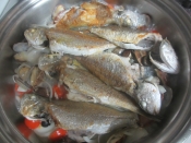 イシモチのアクアパッツァ レシピ 作り方 By Mococo05 楽天レシピ イシモチのアクアパッツァ レシピ 作り方 By Mococo05 楽天レシピ