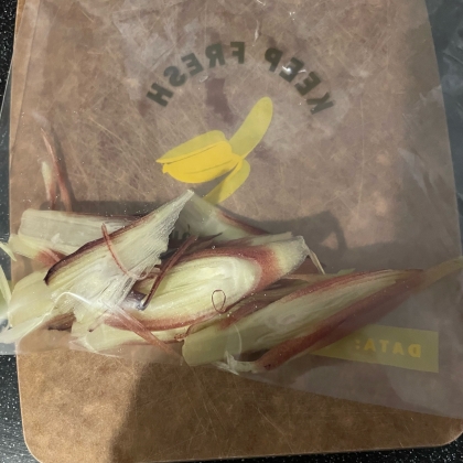 茗荷の冷凍保存