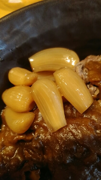 らっきょうのせの牛肉カレー！