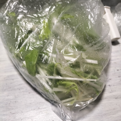 水菜☆水菜の冷凍保存☆1ヶ月保存出来ます☆