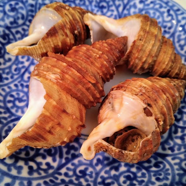 殻付きつぶ貝煮 レシピ 作り方 By 千笑まま 楽天レシピ 殻付きつぶ貝煮 レシピ 作り方 By 千笑まま 楽天レシピ