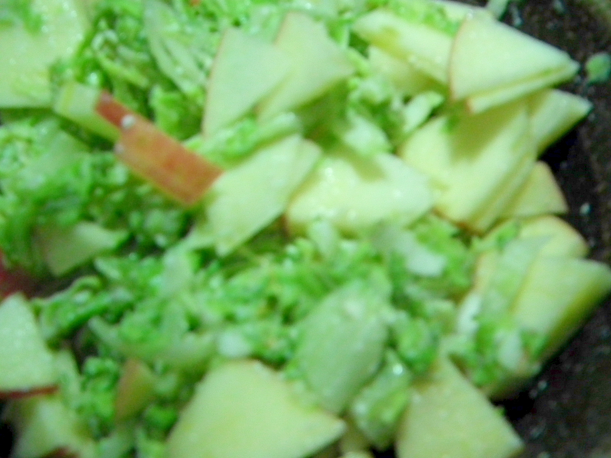 白菜とりんごの浅漬けサラダ