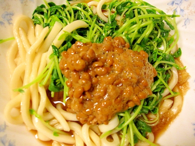 豆苗、納豆入れうどん