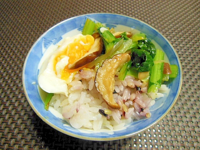 小松菜とシイタケのオイスター炒め雑穀ご飯
