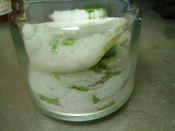 バジルを長期保存 副産物はバジルソルト レシピ 作り方 By かわっきん 楽天レシピ バジルを長期保存 副産物はバジルソルト レシピ 作り方 By かわっきん 楽天レシピ