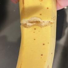 離乳食中期 手掴み食べバナナ レシピ 作り方 By 0 3歳の二児ママ 楽天レシピ 離乳食中期 手掴み食べバナナ レシピ 作り方 By 0 3歳の二児ママ 楽天レシピ