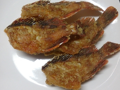 頭も美味しい カサゴの二度揚げ レシピ 作り方 By Leopoo 楽天レシピ 頭も美味しい カサゴの二度揚げ レシピ 作り方 By Leopoo 楽天レシピ