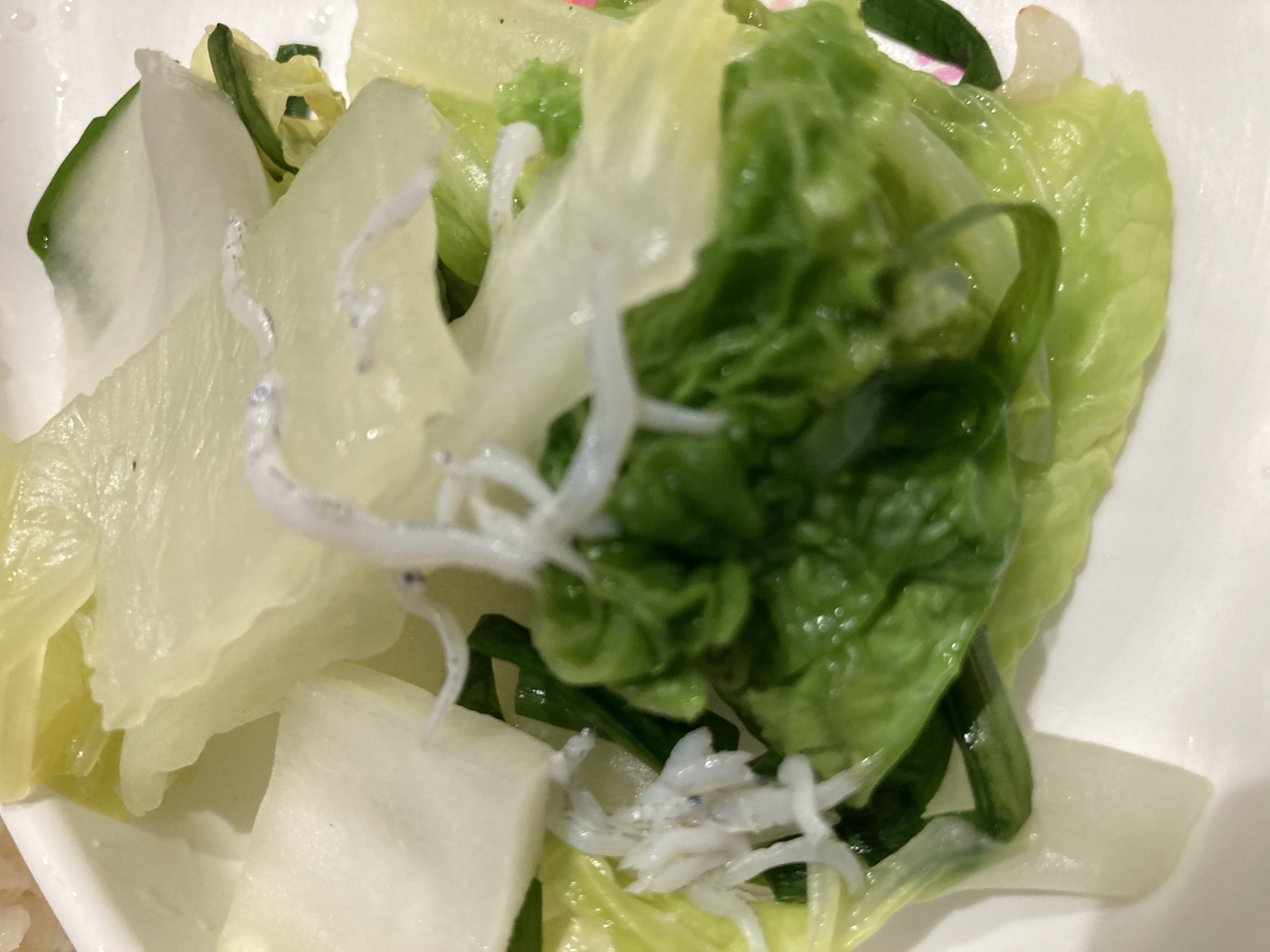 シラス和えの温野菜風の白菜サラダ