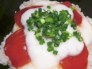 まぐろとろろ麦飯丼