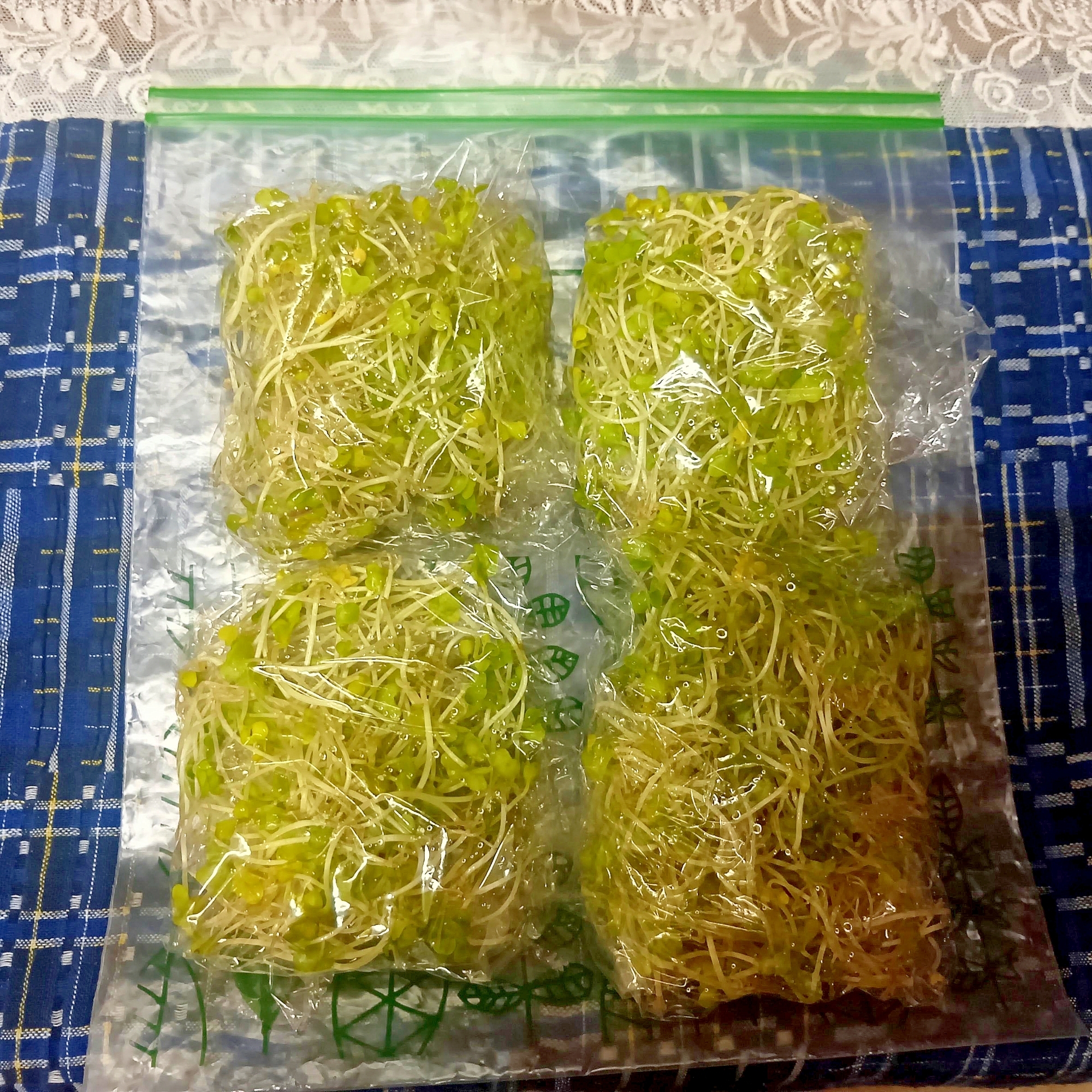 ブロッコリースプラウトの冷凍保存