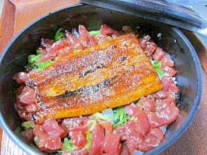 余ったついで＾＾　「まぐろと鰻のコンビ丼」