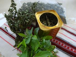 キッチンガーデンで自家製ミントティー レシピ 作り方 By Mayachka 楽天レシピ キッチンガーデンで自家製ミントティー レシピ 作り方 By Mayachka 楽天レシピ