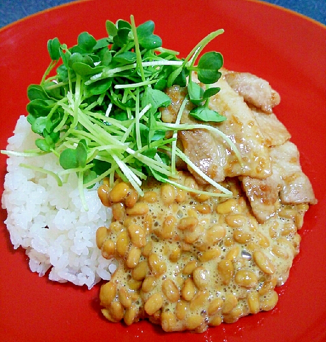 実は意外に美味しい☆甘辛豚肉と納豆の丼