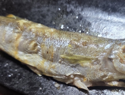 ♢♦︎カマスの塩焼き♢♦︎