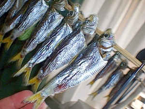 めざし イワシ サッパ等々魚種にこだわらず 作り方 レシピ 作り方 By コリ6430 楽天レシピ めざし イワシ サッパ等々魚種にこだわらず 作り方 レシピ 作り方 By コリ6430 楽天レシピ