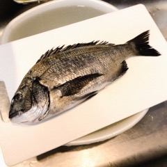 絶品 黒鯛の炙り レシピ 作り方 By えだ豆カシューナッツ 楽天レシピ 絶品 黒鯛の炙り レシピ 作り方 By えだ豆カシューナッツ 楽天レシピ