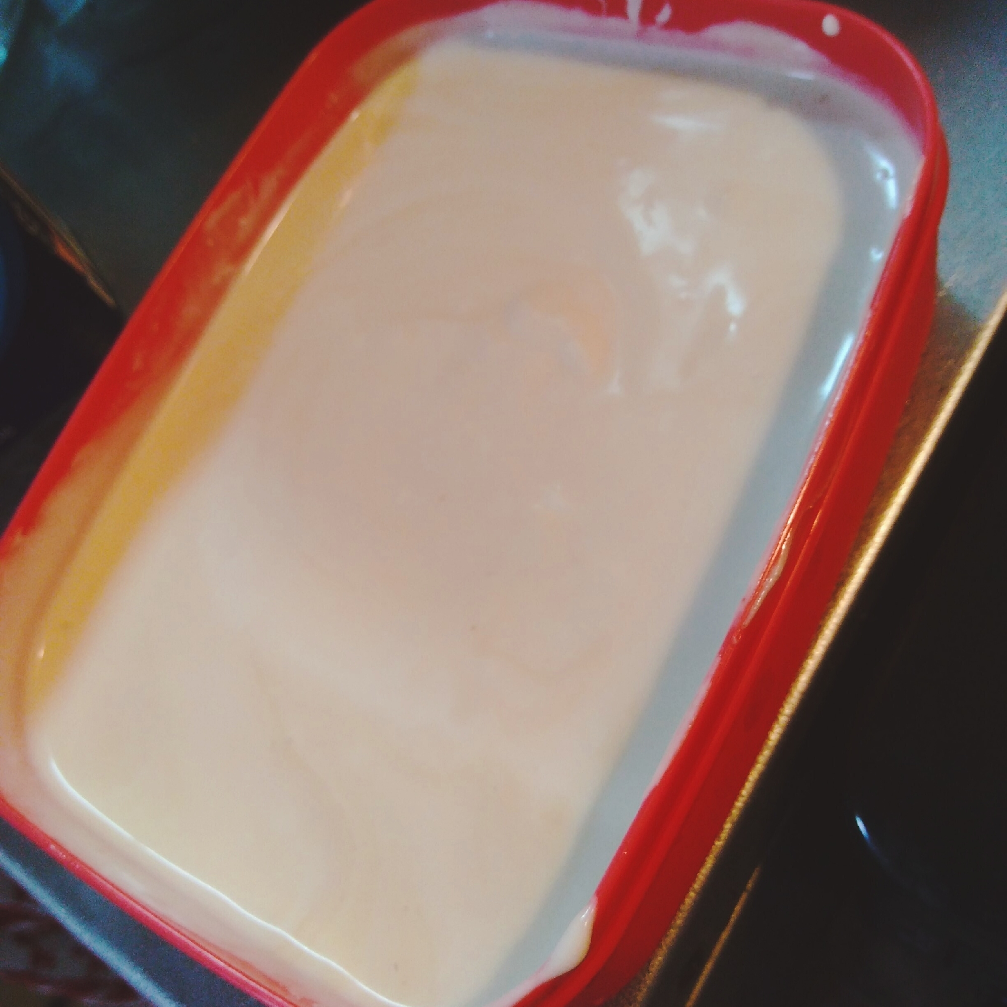豆乳ヨーグルトアイス