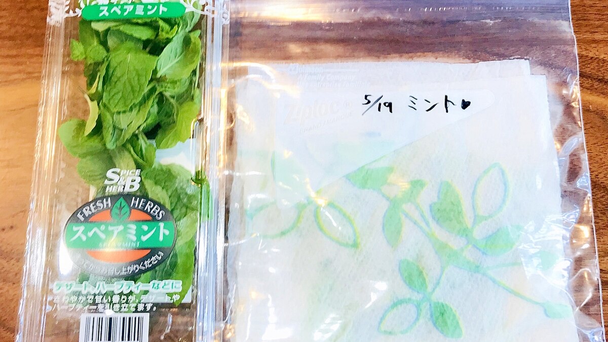 ミントの葉の冷蔵保存方法 レシピ 作り方 By ぼくバナナ 楽天レシピ ミントの葉の冷蔵保存方法 レシピ 作り方 By ぼくバナナ 楽天レシピ