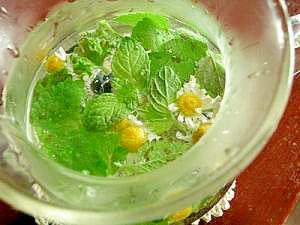 お庭のハーブティー レシピ 作り方 By かっぽリン 楽天レシピ お庭のハーブティー レシピ 作り方 By かっぽリン 楽天レシピ