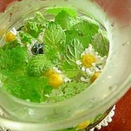 ハーブティーレシピ 作り方の人気順 簡単料理の楽天レシピ ハーブティーレシピ 作り方の人気順 簡単料理の楽天レシピ